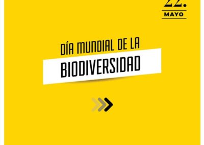 Flyer redes sociales